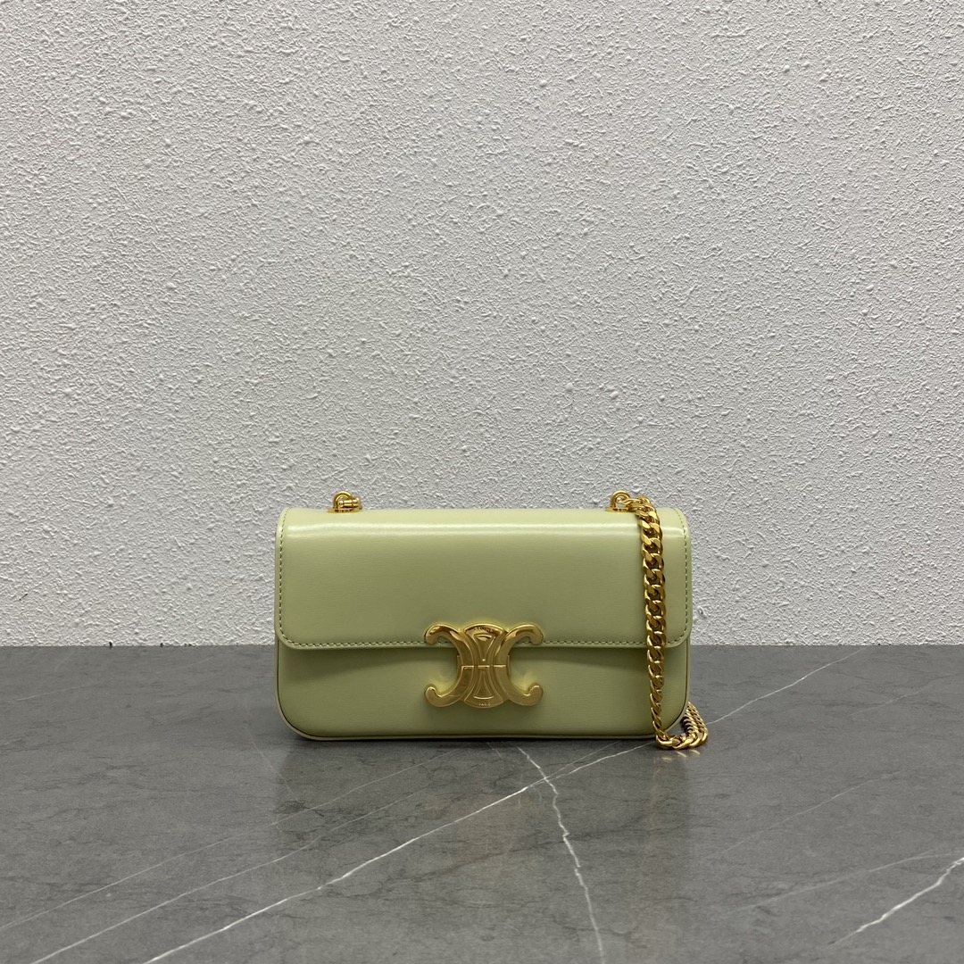 Celine Chain Shoulder Bag Claude In Shiny Calfskin Light Green/Gold 197992